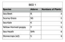 CGTable-Bed-1.numbers.jpg