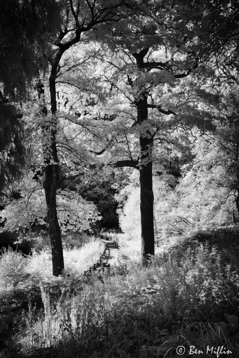wakehurst-place_51599515924_o.jpg